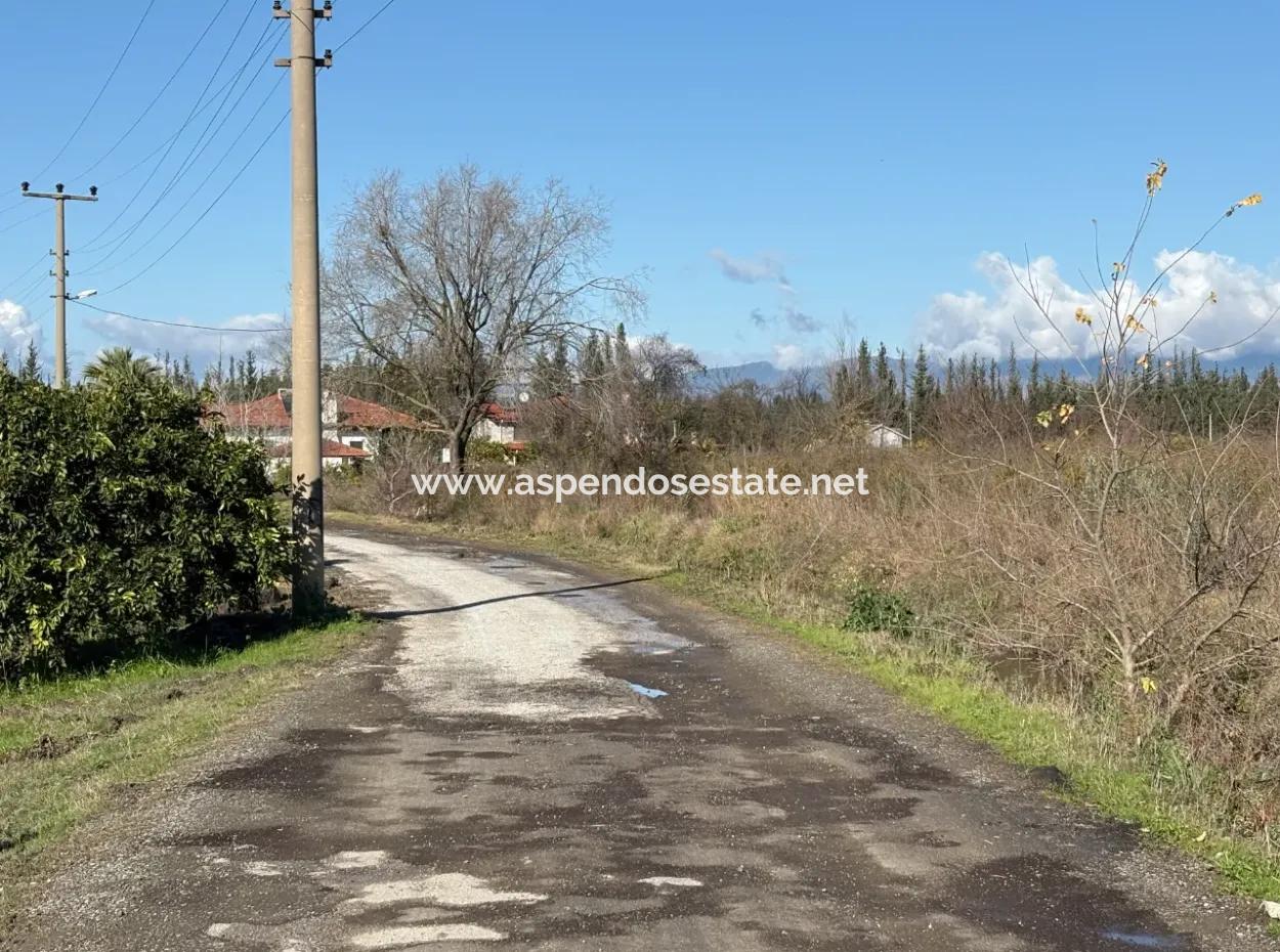 23,000M2 Detached Field Garden For Sale In Tepearasin,