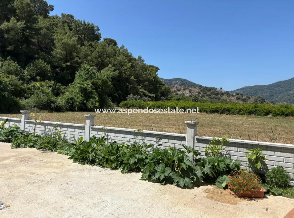 120M2 Detached Wooden House In A 2500M2 Field In Dalyan Karadağ
