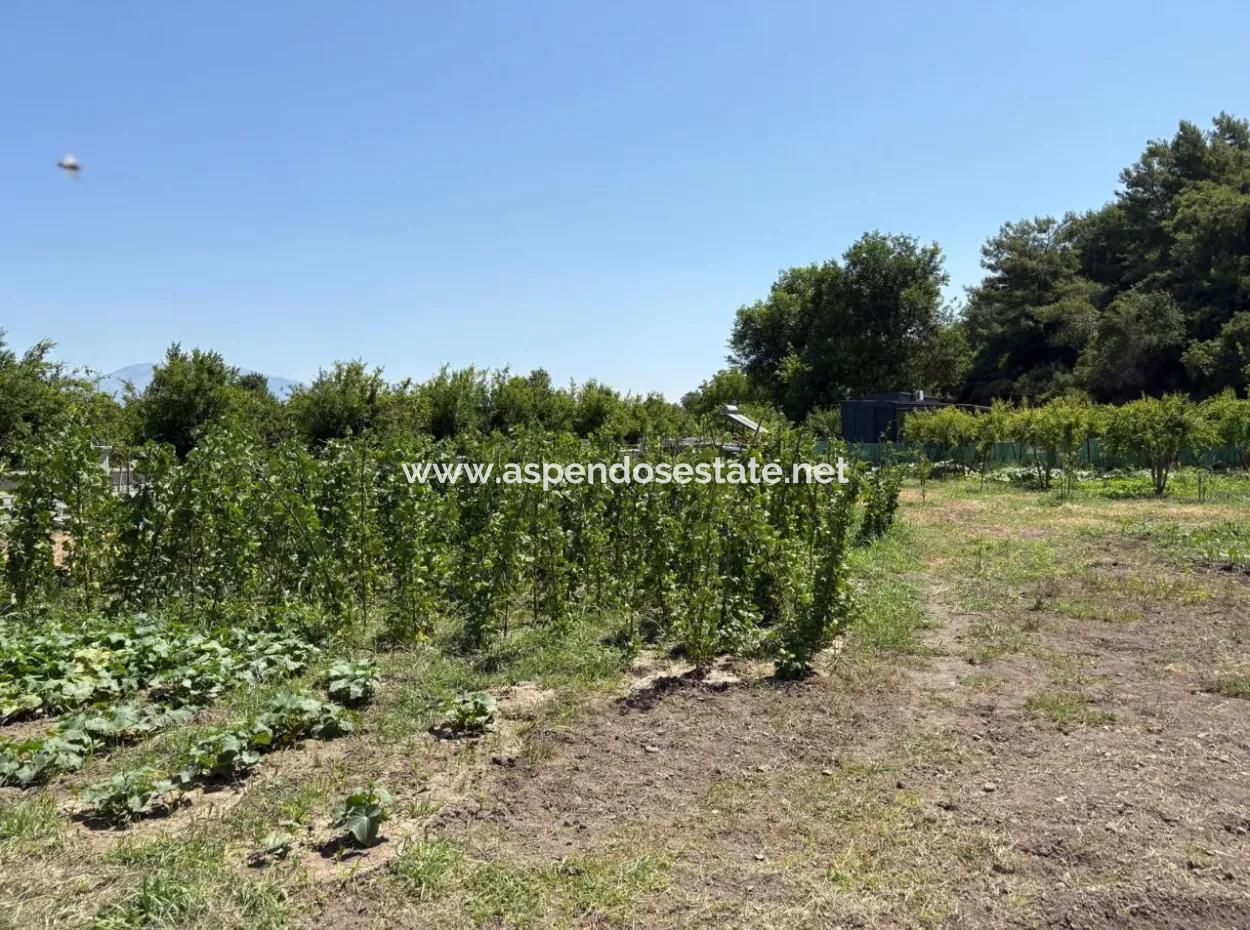 120M2 Detached Wooden House In A 2500M2 Field In Dalyan Karadağ