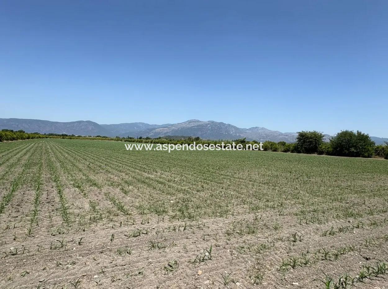 46,550M2 Land For Sale In Tepearası