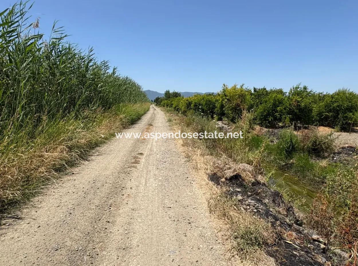 46,550M2 Land For Sale In Tepearası