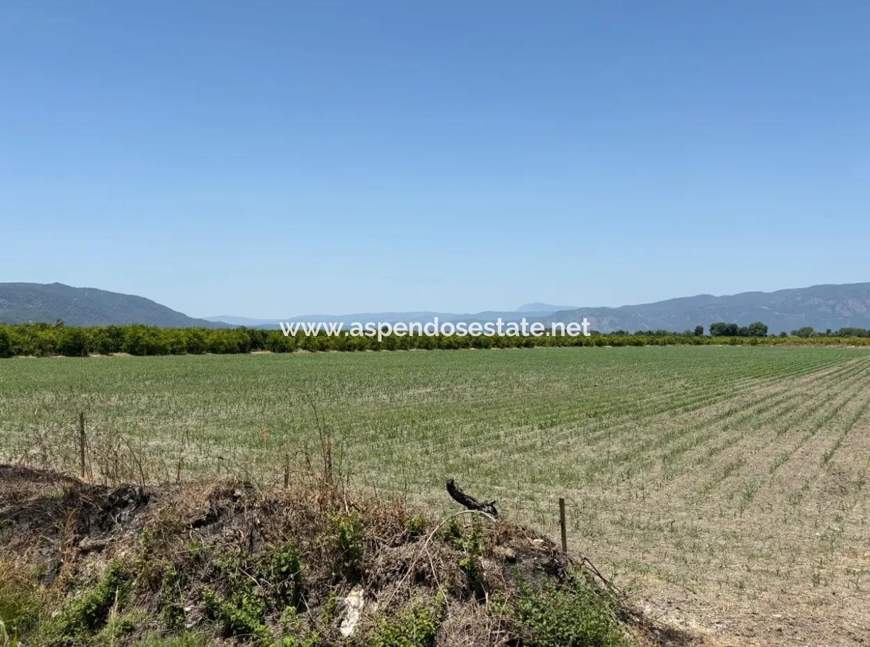 46,550M2 Land For Sale In Tepearası