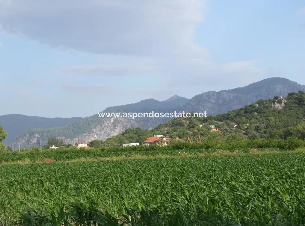 Farm For Sale Near The Centre Of Dalyan,14, 612M2 Farm For Sale