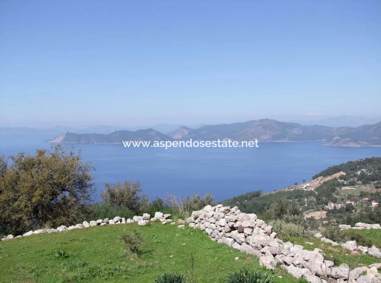 For Sale In Faralya Faralya With Sea View And 11,286M2 Land For Sale Tourism