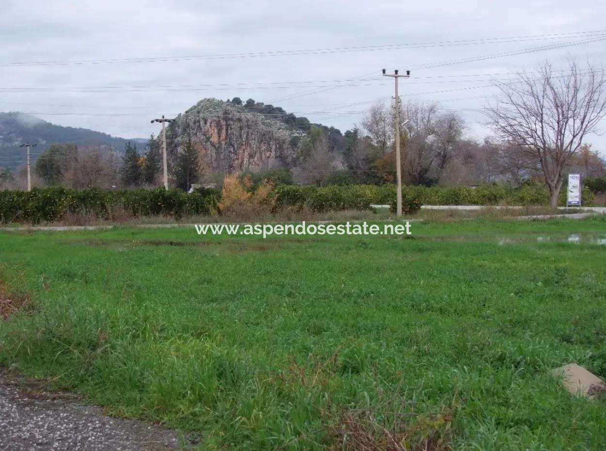 Gulpinar Dalyan Dalyan For Sale In 1002M2 Plot For Sale For Sale Cornerstone