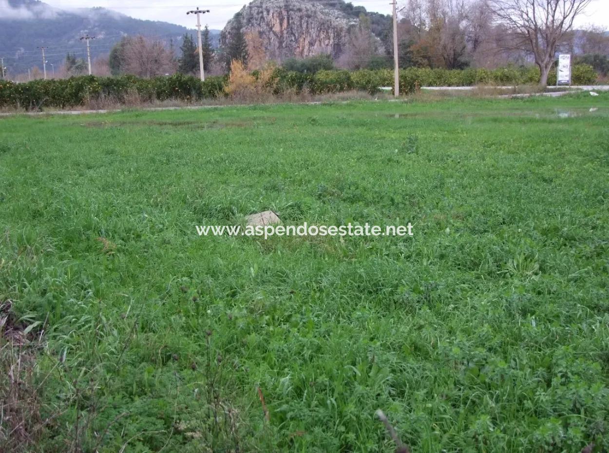 Gulpinar Dalyan Dalyan For Sale In 1002M2 Plot For Sale For Sale Cornerstone
