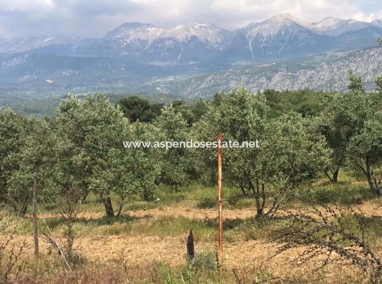 Land For Sale In Seydikemer Korubuku 76000M2