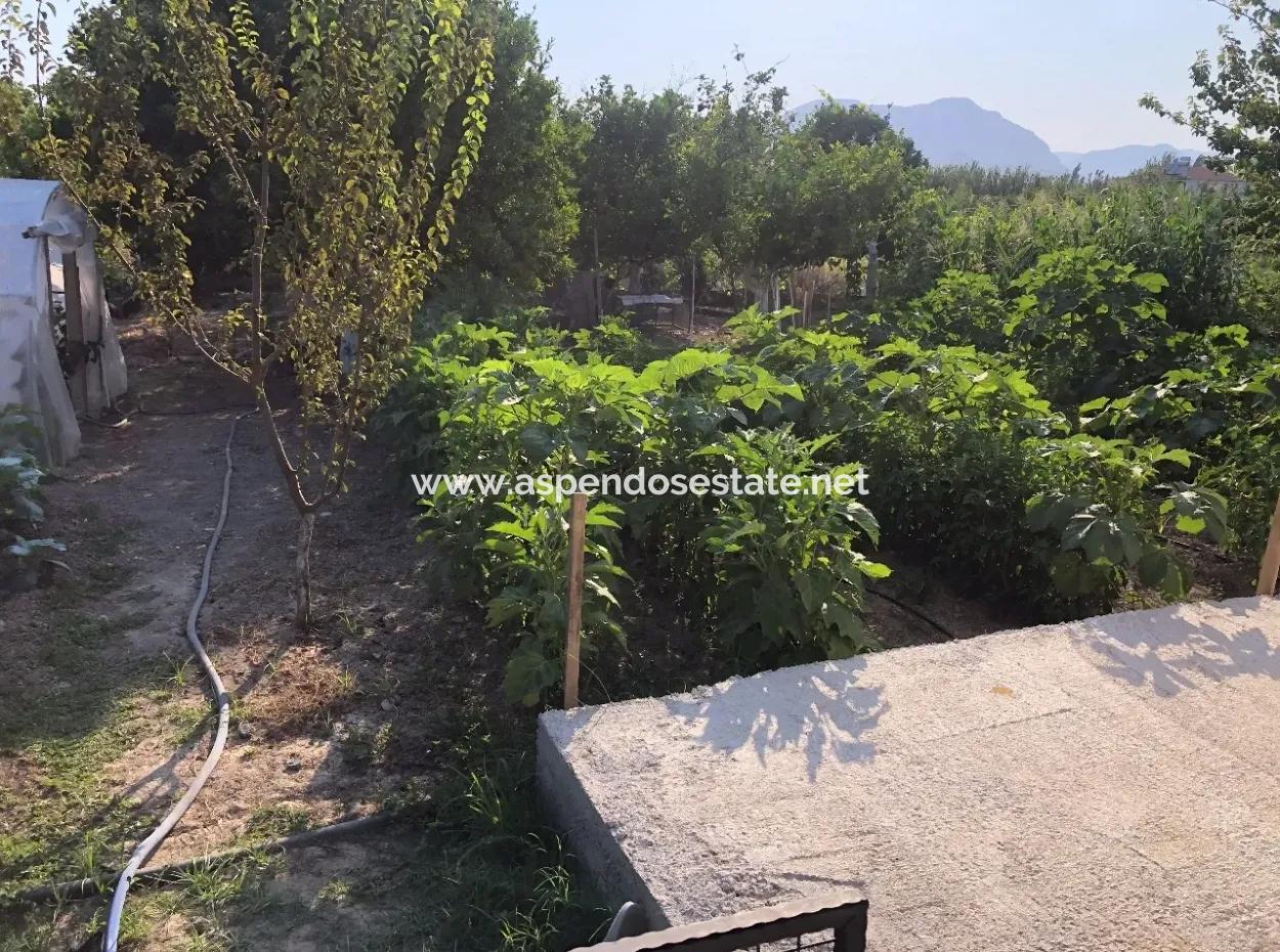 752M2 Plot For Sale For Sale In Archers Koyevi Bungolev