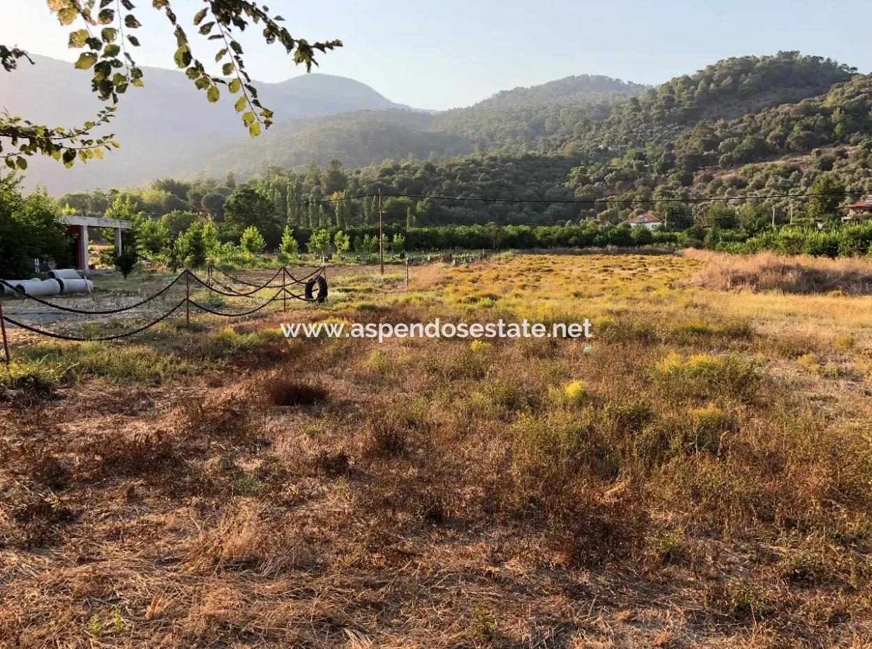 2300M2 Land For Sale Near The Center Of The Land For Sale