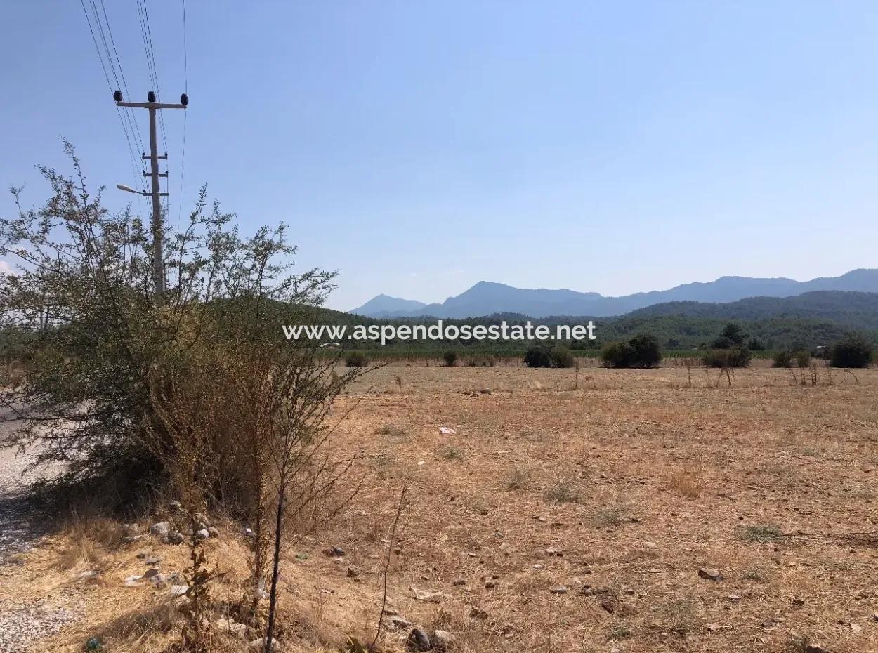 11.227M2 Land For Sale With Lake Views In Köyceğiz Zeytinalanı