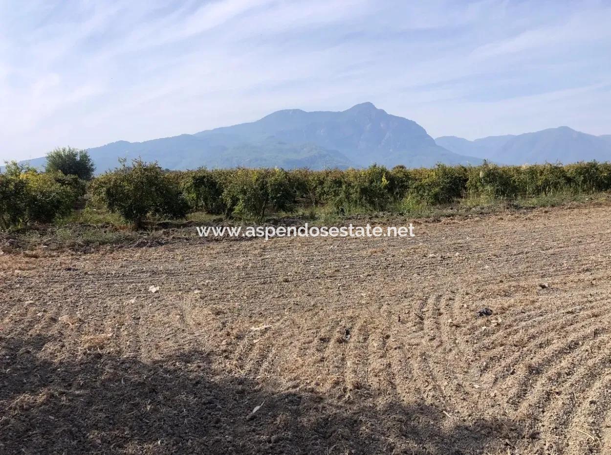 Land For Sale In Esköy 8500M2 Field Land For Sale