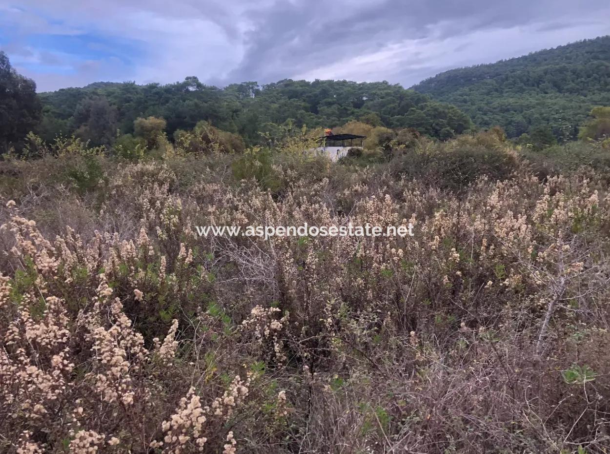 Land  For Sale Zero To Çamlı Canal 28768M2 Land For Sale With Sea View In Camlida