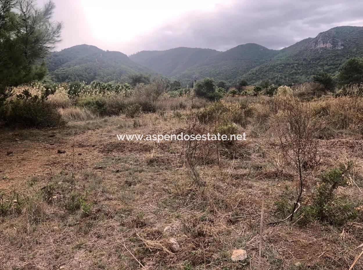 Land  For Sale Zero To Çamlı Canal 28768M2 Land For Sale With Sea View In Camlida