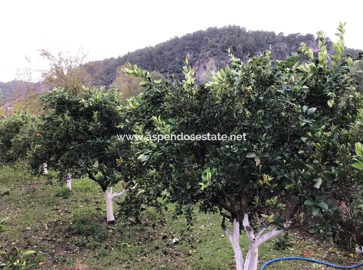 Single-Storey Detached House For Sale In 1222M2 Plot In Archers