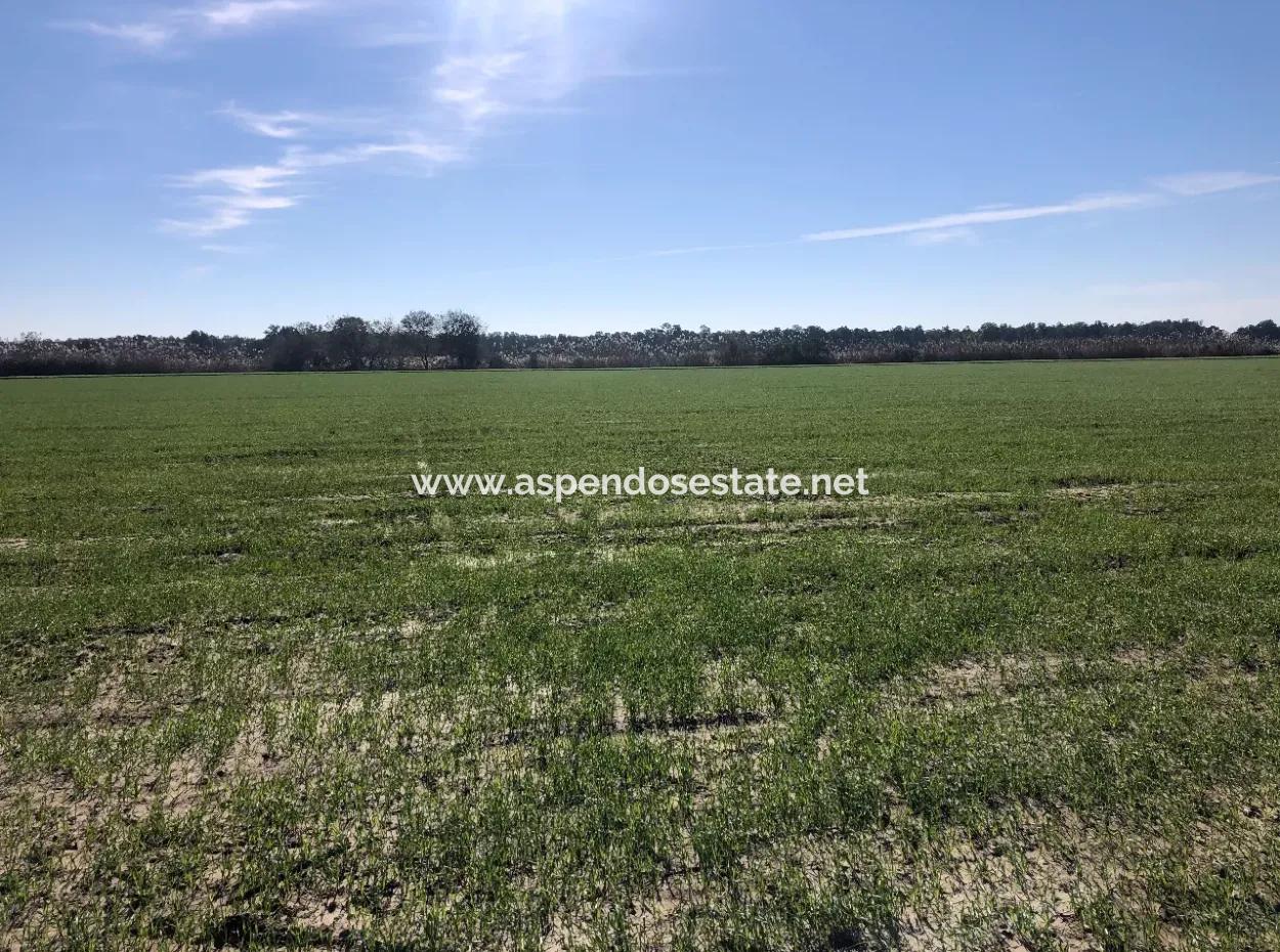 Land For Sale In Sarıgermede 30,000M2 Land For Sale With Sea View