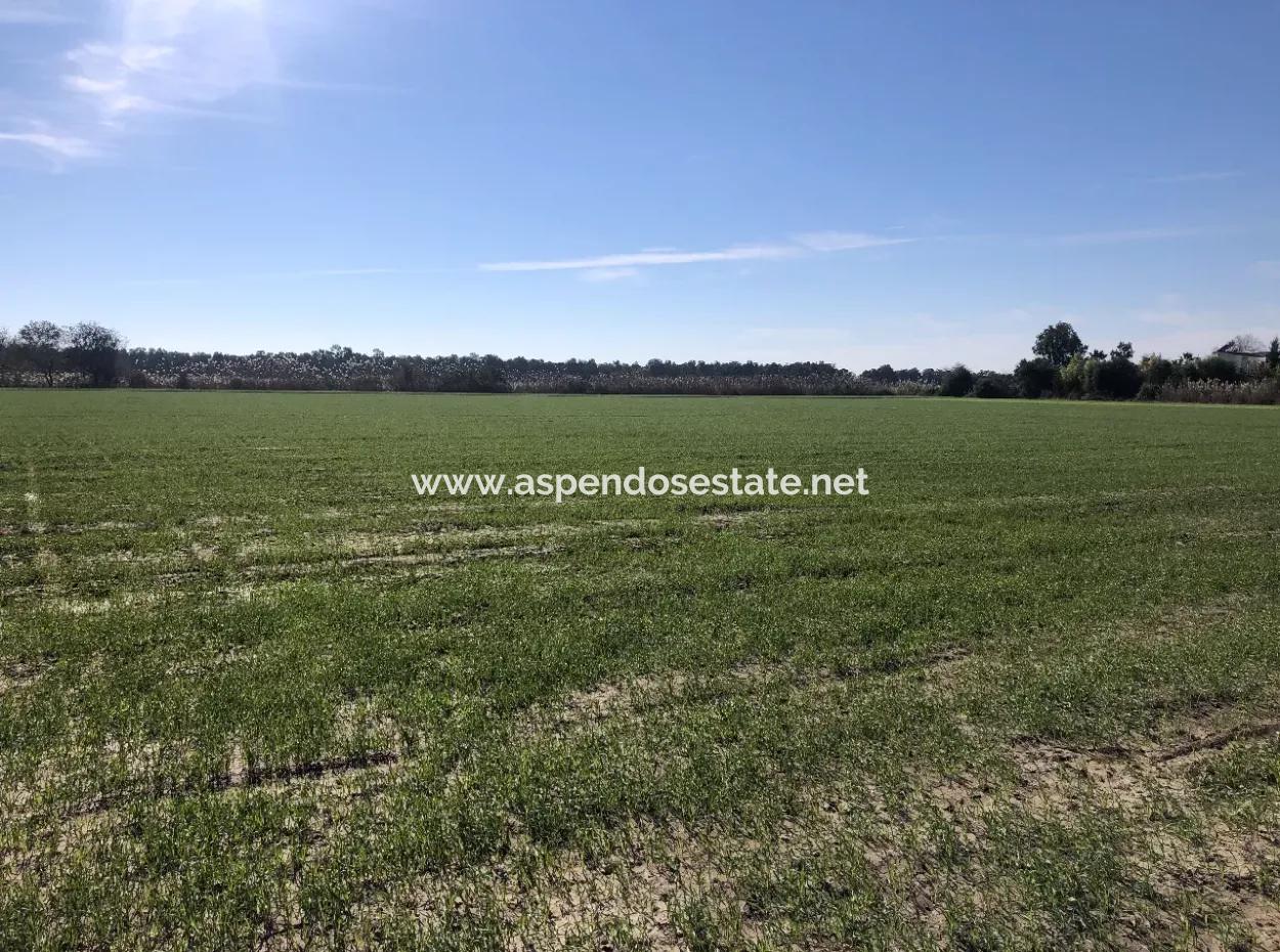 Land For Sale In Sarıgermede 30,000M2 Land For Sale With Sea View