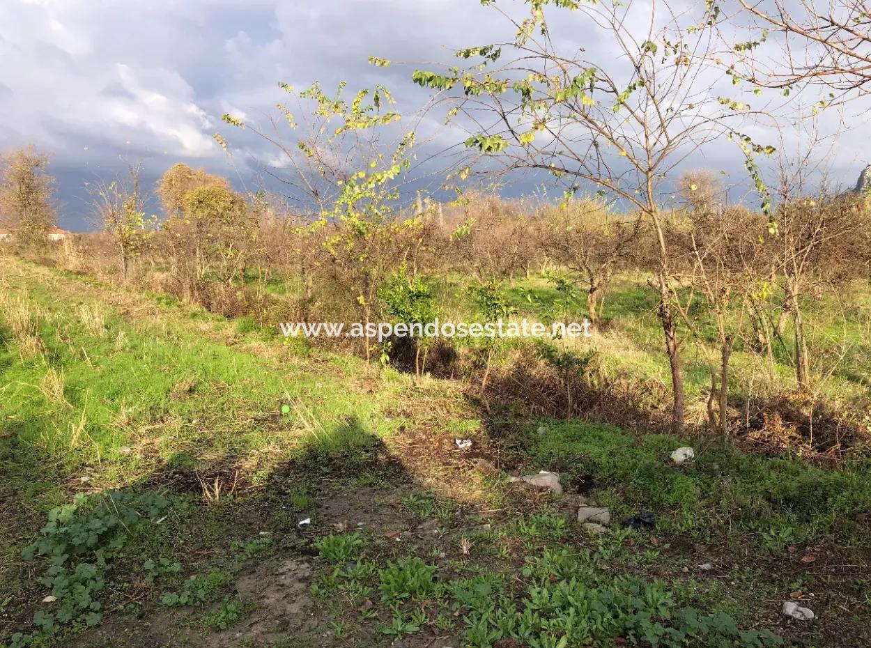 Dalyan Land For Sale Near The Center 3000M2 5% Zoning Land For Sale