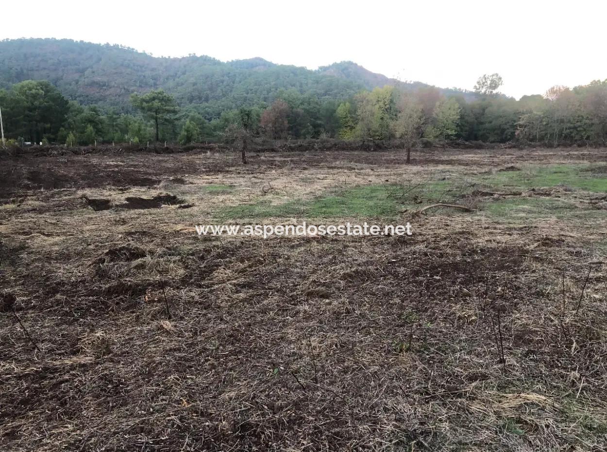 Sultaniye Land For Sale Near 10577M2 Lake Land For Sale