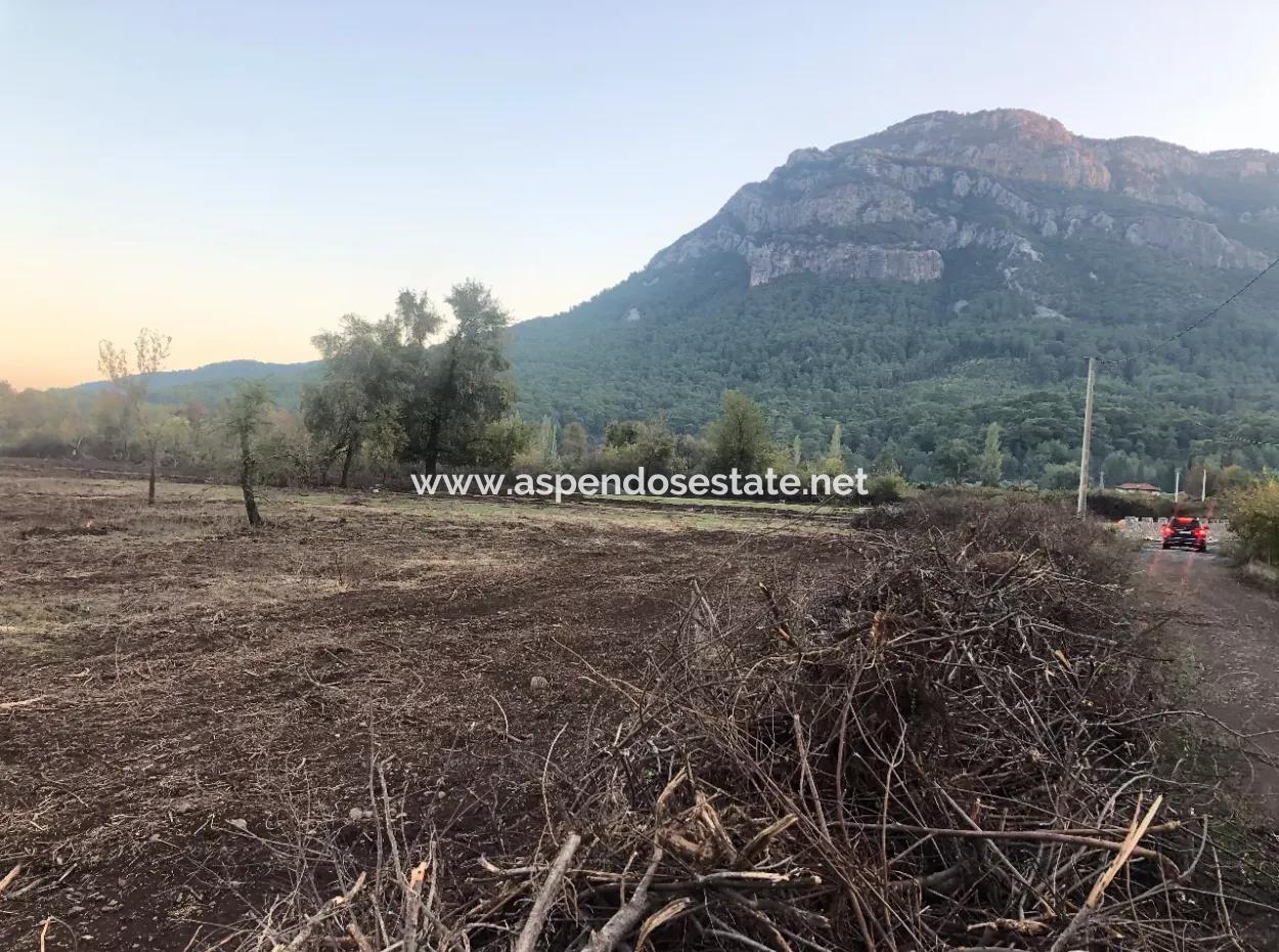 Sultaniye Land For Sale Near 10577M2 Lake Land For Sale