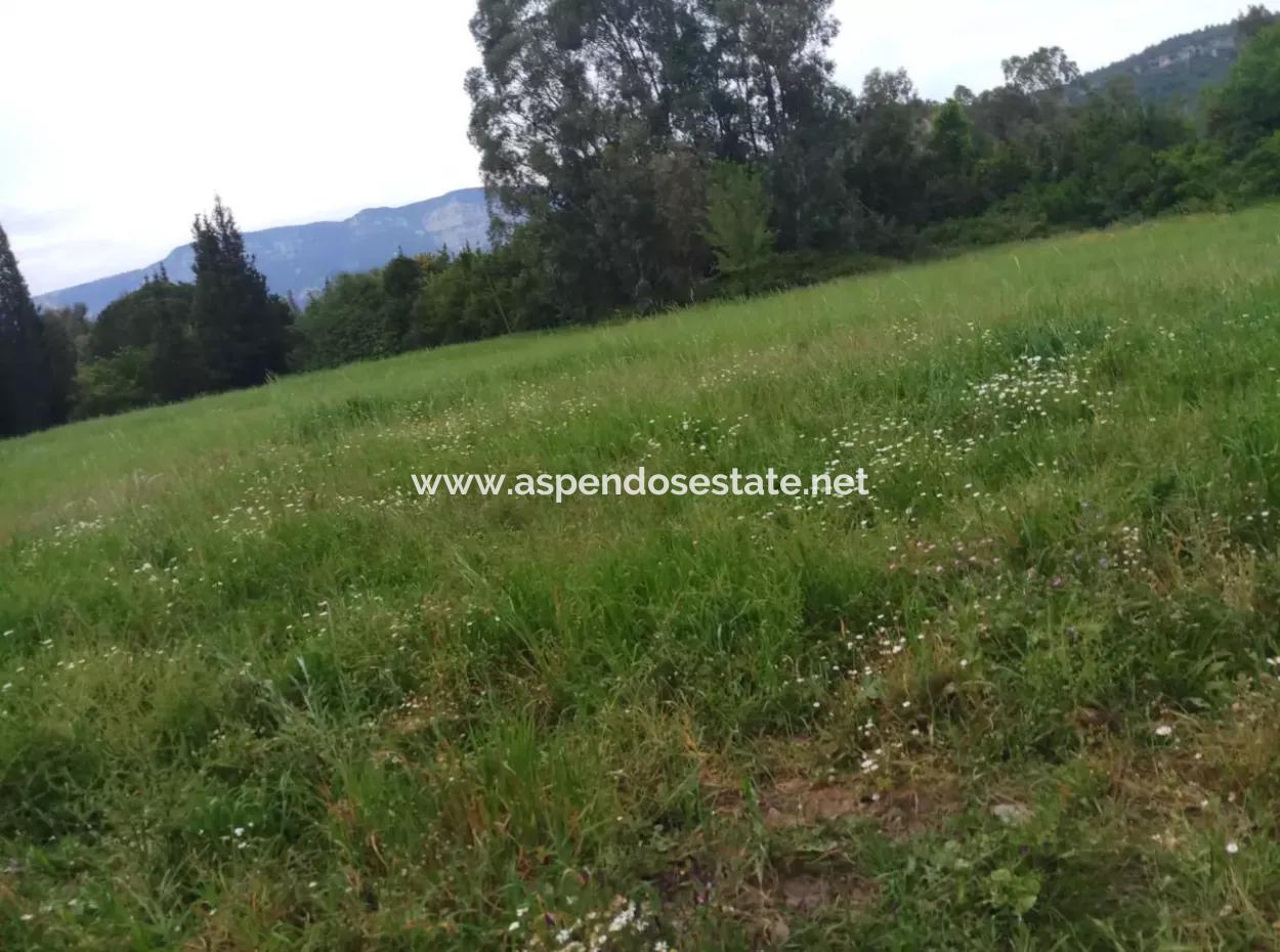 Land For Sale In Çamlida