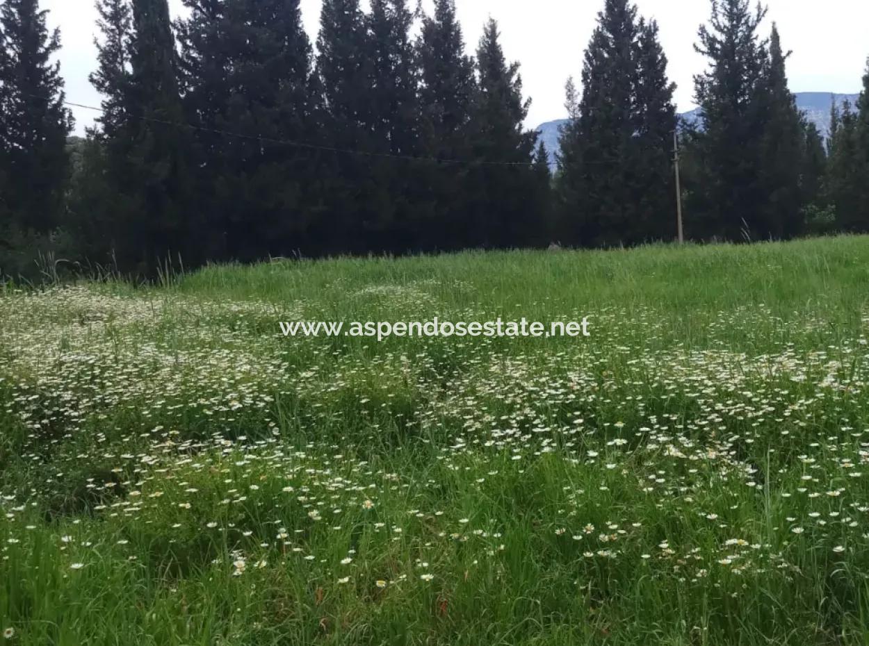 Land For Sale In Çamlida