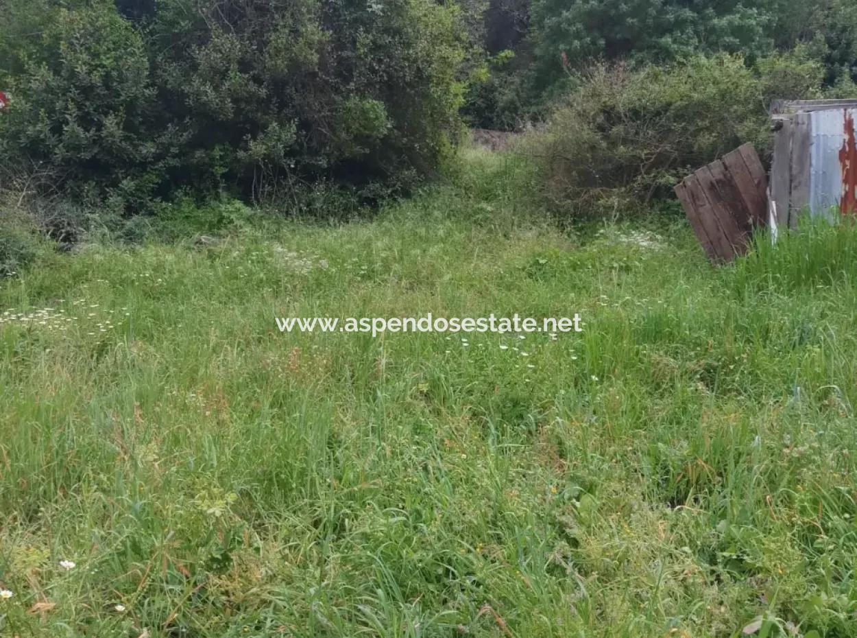 Land For Sale In Çamlida