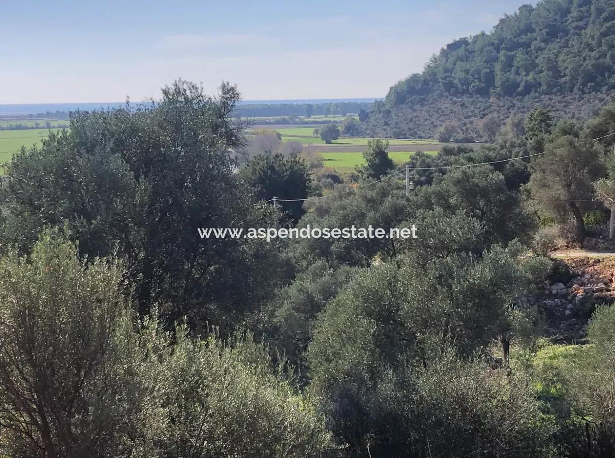 Land For Sale With Sea View Of Fevziye