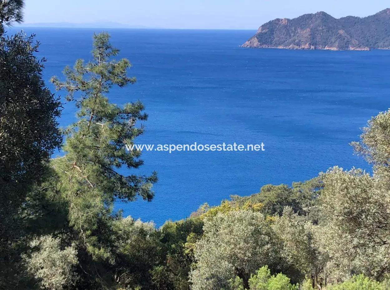 Land For Sale With Sea View In Çandir