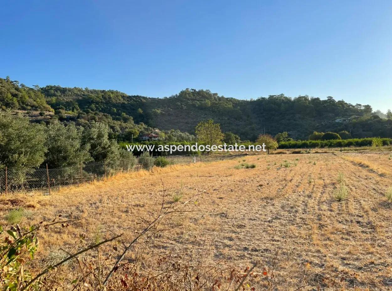 2000M2 Land For Sale In The Built-Up Area Of Çandir Village