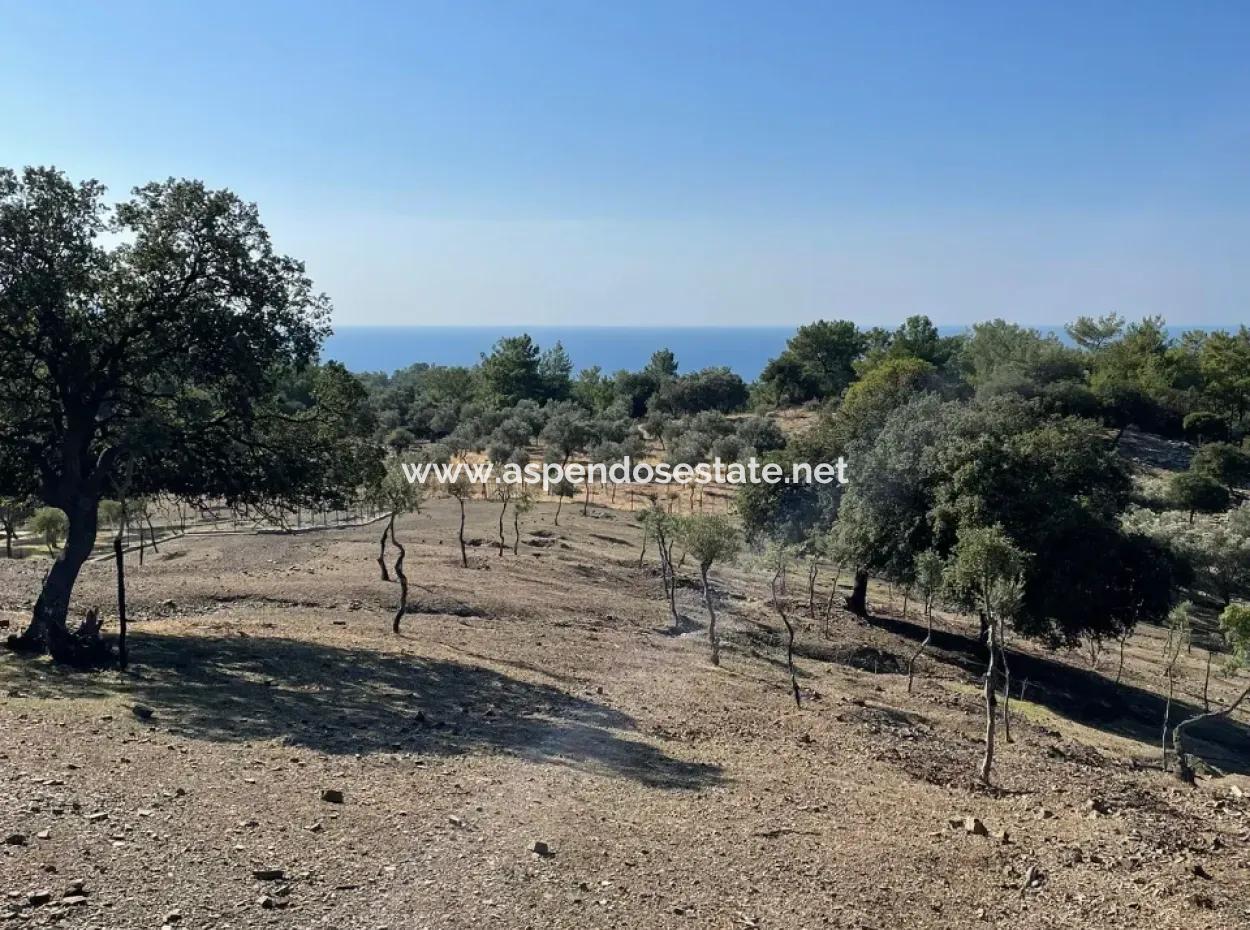 Land For Sale With Sea View Of Çandir