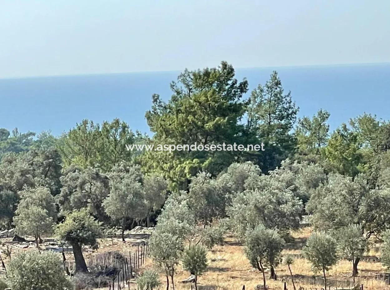 Land For Sale With Sea View Of Çandir