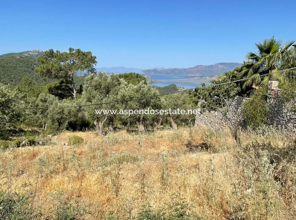 Land For Sale With Sea View In Gokbel