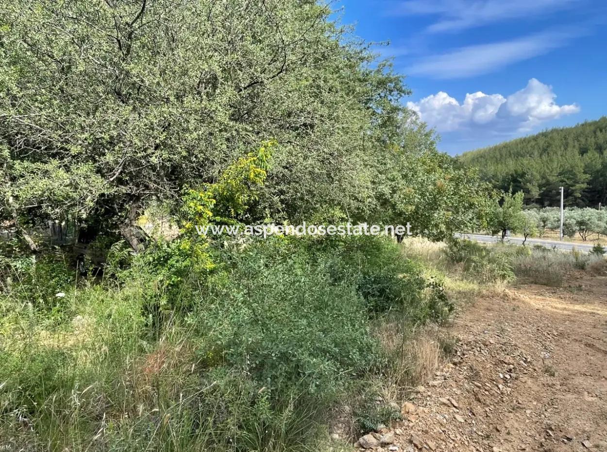 Land For Sale In Ula Armutchuk With 501M2 Zoning