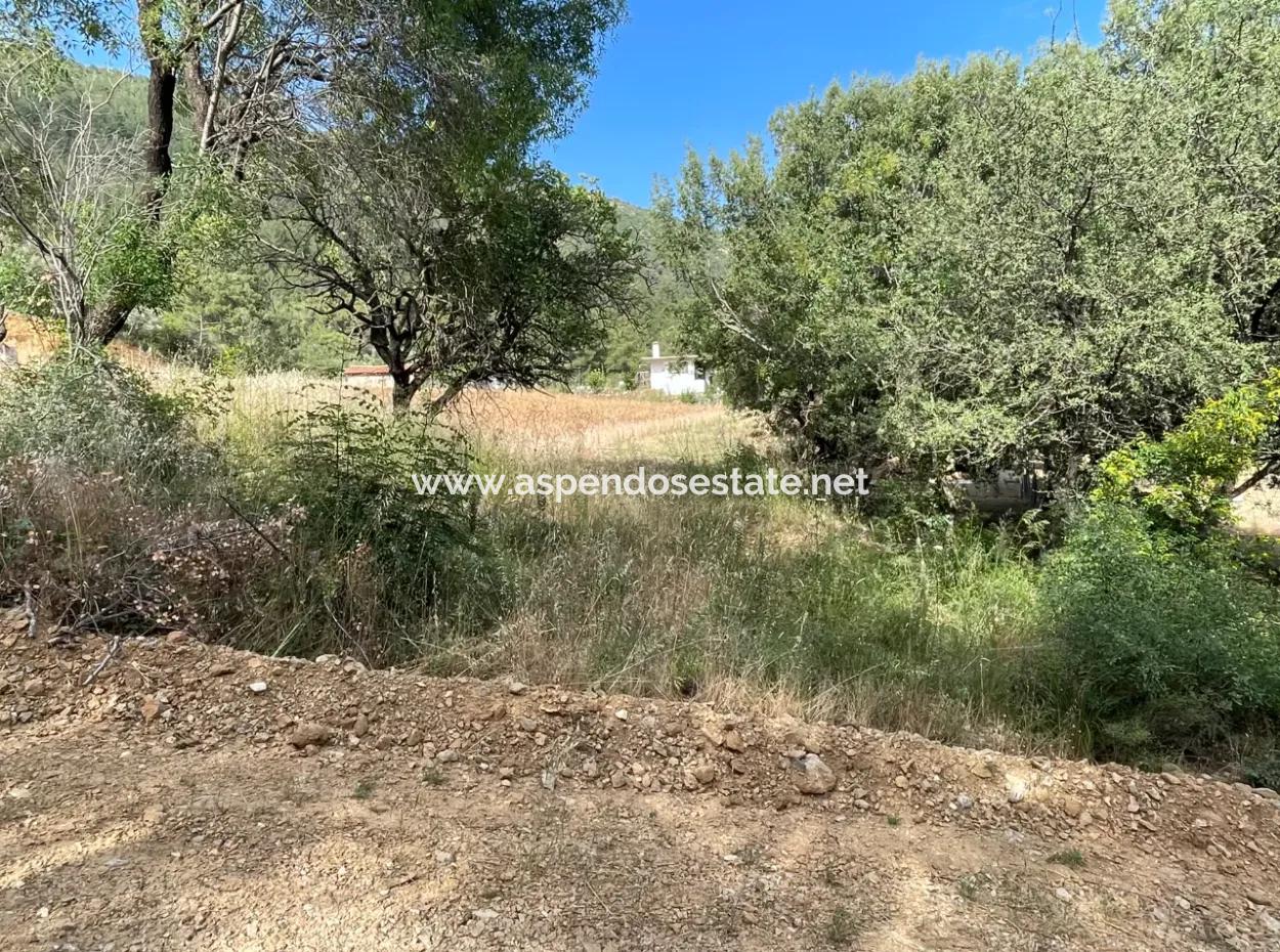 Land For Sale In Ula Armutchuk With 501M2 Zoning