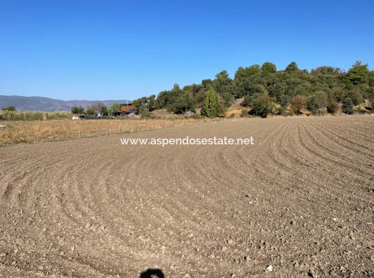 6254M2 Field For Sale Near Dalyan In Eskiköy