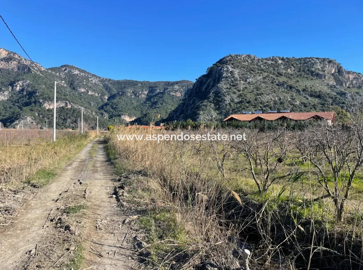 Dalyan Iztuzu Road Zero 5216M2 Field Plot For Sale
