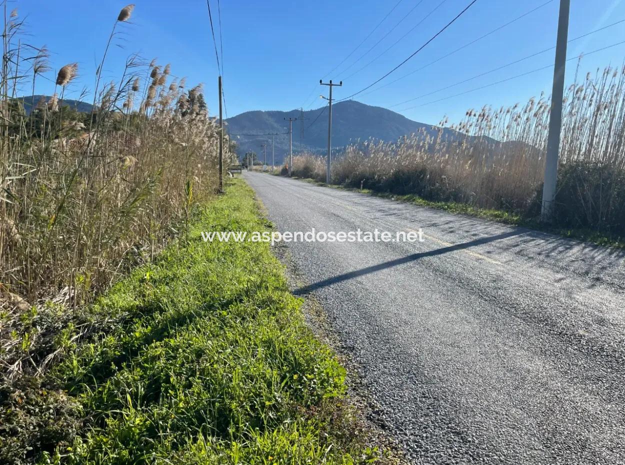 Dalyan Iztuzu Road Zero 5216M2 Field Plot For Sale