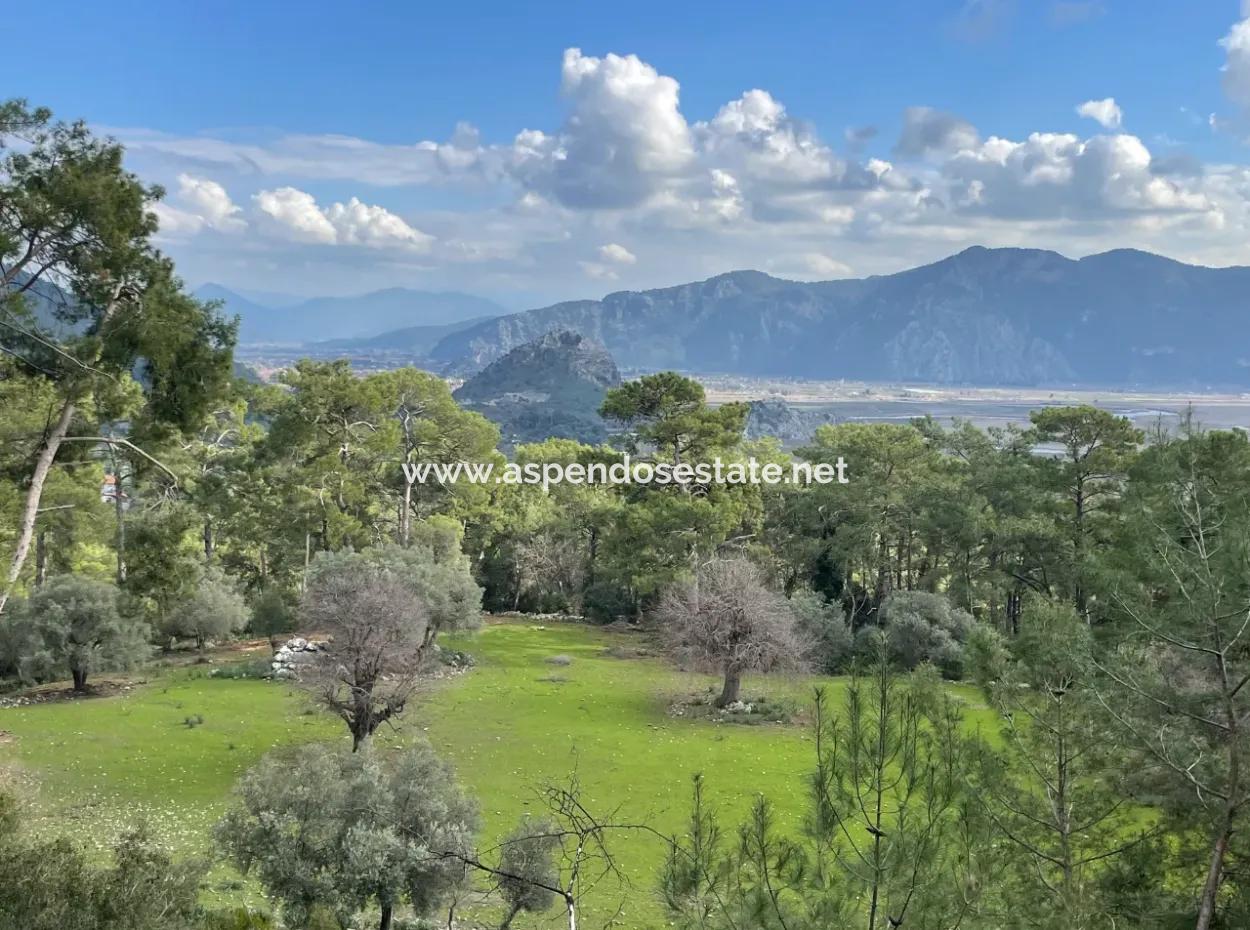 10,707M2 2B Field For Sale With Sea Lake View In Çandır