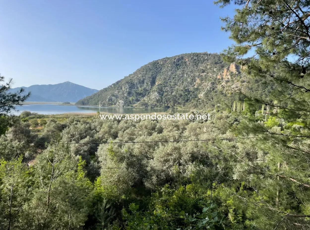 1,136M2 Field Plot For Sale With Çandır Lake View