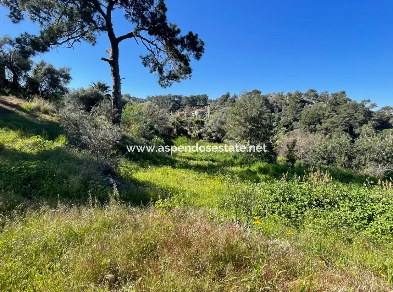 Village House For Sale In 4,400M2 Land With Full Sea View In Gökbel