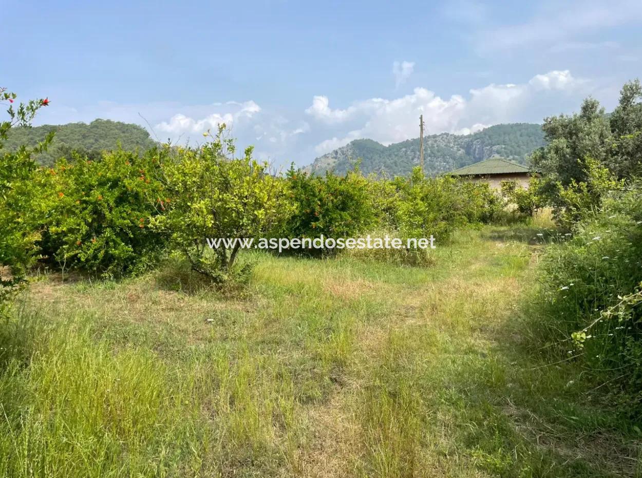 7800M2 Land For Sale At The Beginning Of Iztuzu Beach Road In Gökbel