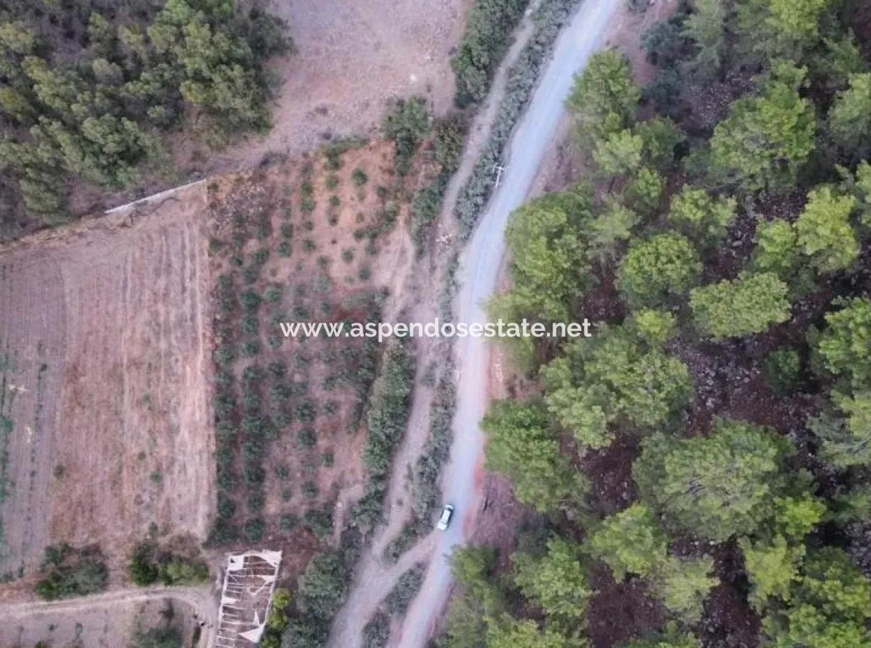 3578M2 Field For Sale On The Road Of Aşı Koyu In Mergenlide