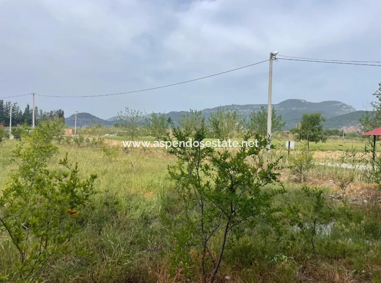 Field For Sale 6500M2 In Dalyan