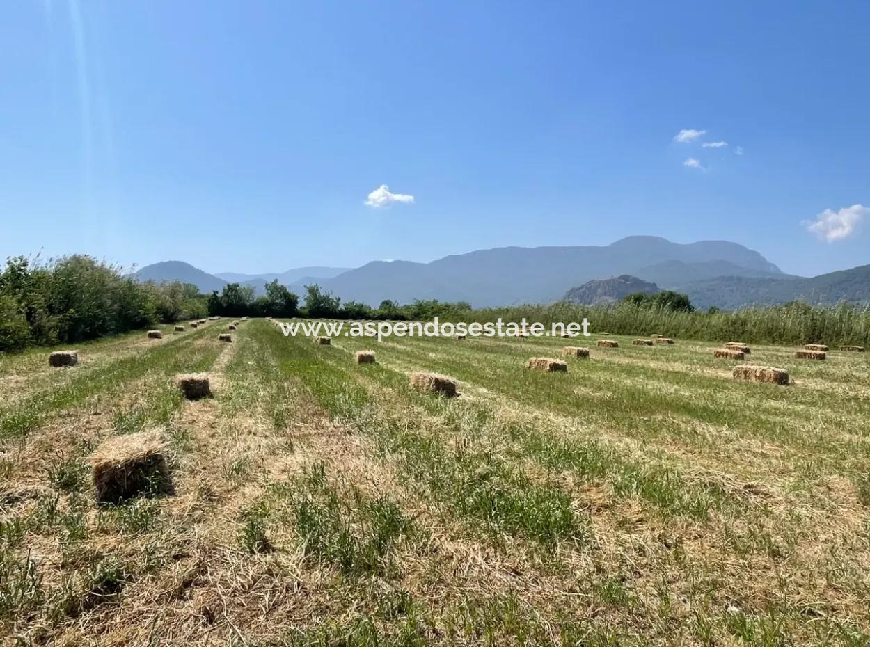 6,500M2 Field For Sale On The Iztuzu Road In Dalyan