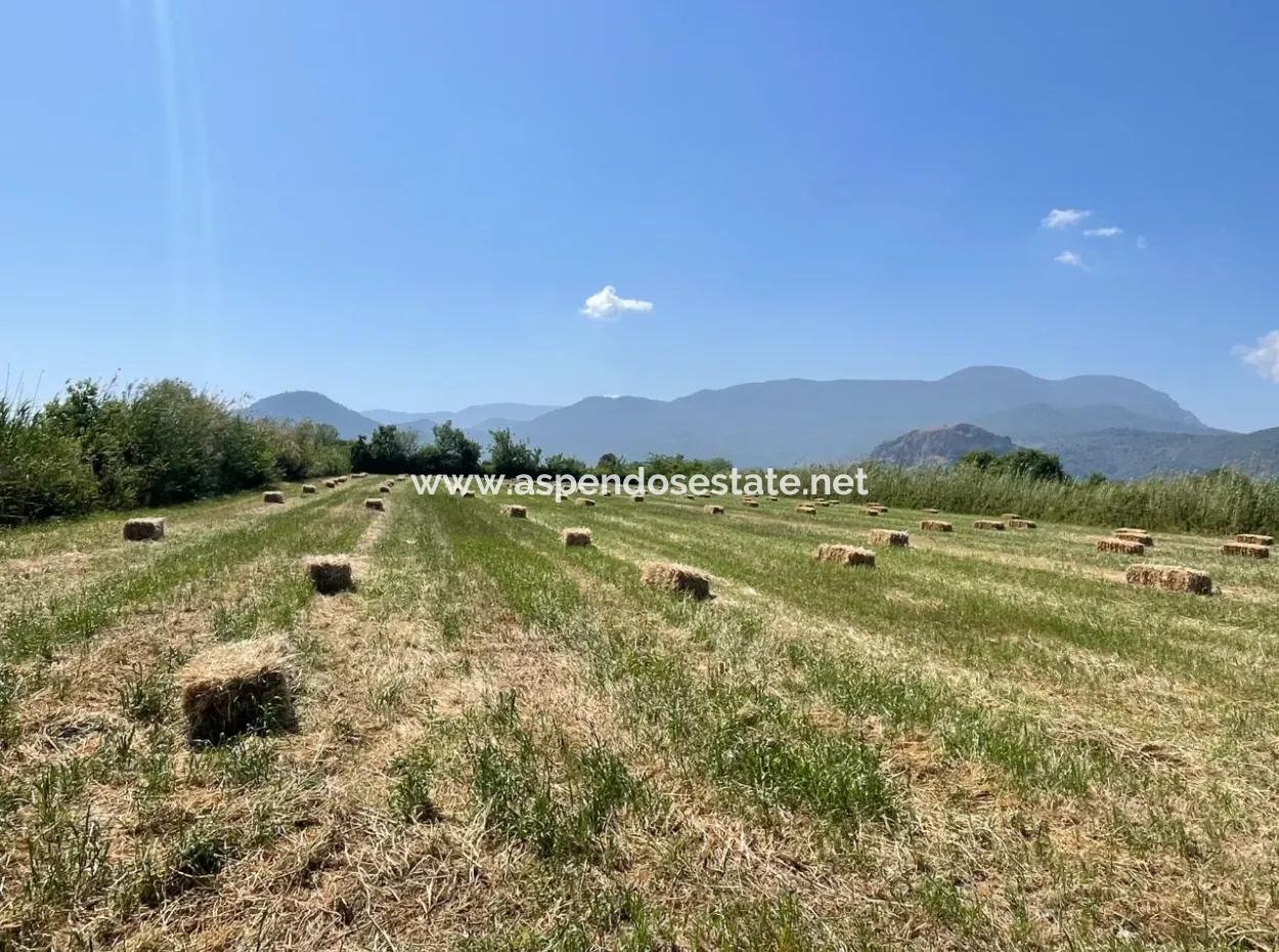 6,500M2 Field For Sale On The Iztuzu Road In Dalyan