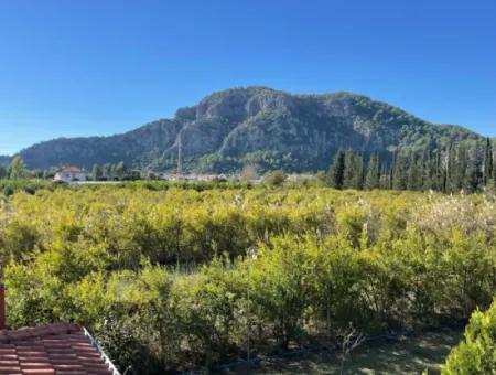 4 2 Villas For Sale In A Plot Of 6000M2 In Dalyan Gulpinar