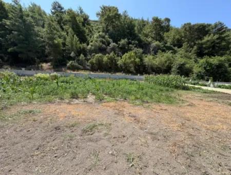 120M2 Detached Wooden House In A 2500M2 Field In Dalyan Karadağ