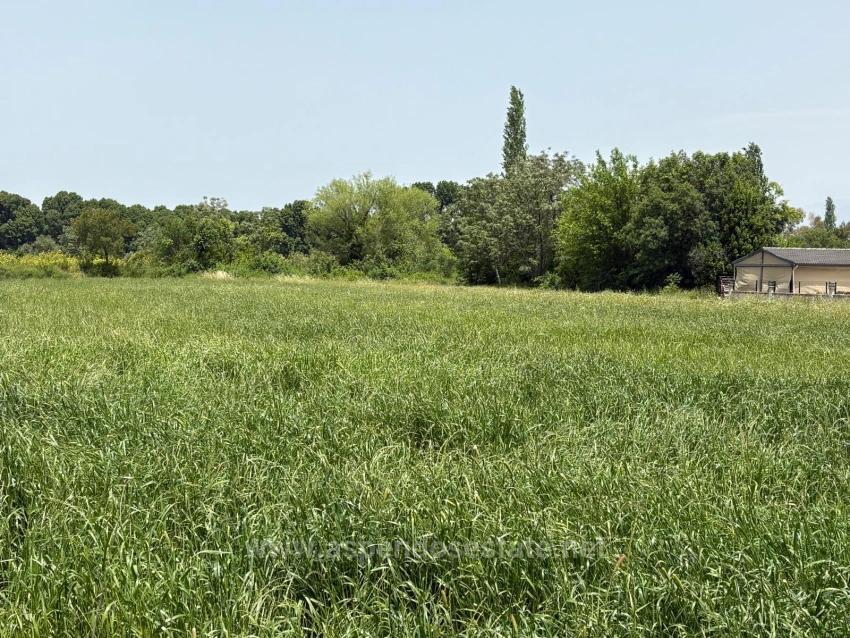 Земля 2390M2 На Продажу В Окчулар, Мармарис