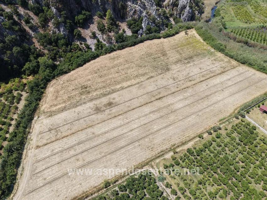 Для продажи Поле в Dalyan Ortaca - Под Поле застройку - 20.786 m²