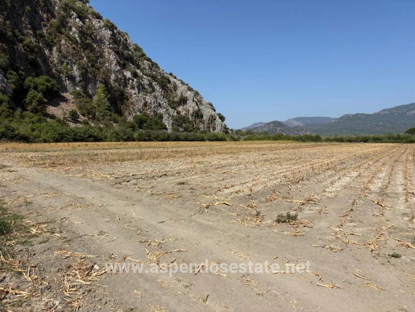 Для продажи Поле в Dalyan Ortaca - Под Поле застройку - 20.786 m²